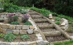 1 SAM_0194 1 SAM_0194