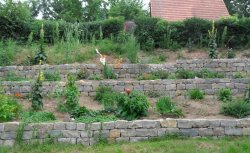 SAM_0156 SAM_0156